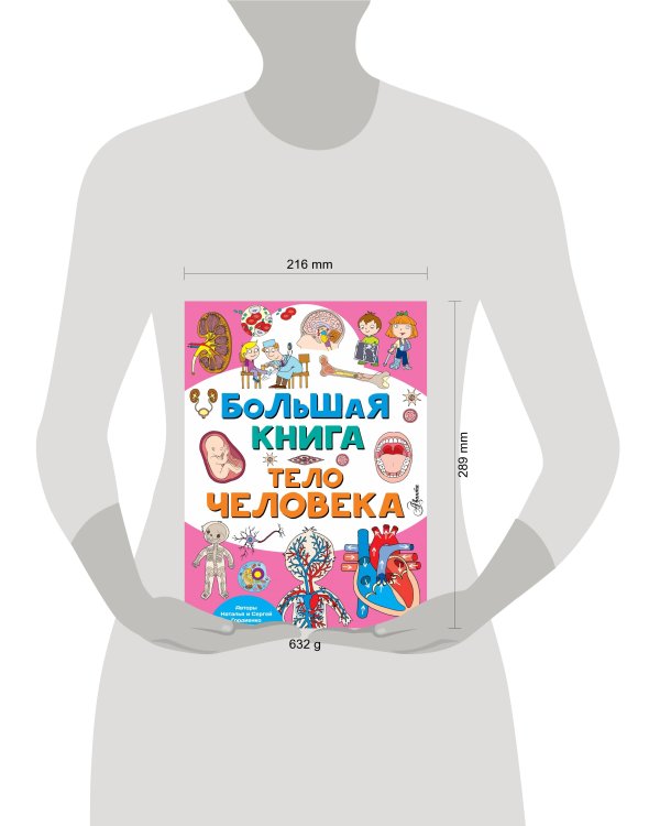 Дополнительное изображение книги «Большая книга. Тело человека»