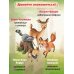 Лесные герои. Четверка отважных #1 (ил. К. Зивердинг)