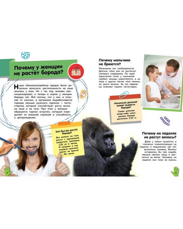 Путеводитель по телу человека. Вопросы и ответы