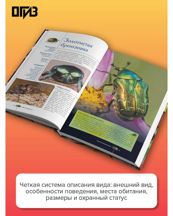 Насекомые. Иллюстрированный гид