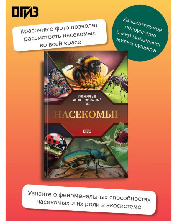 Насекомые. Иллюстрированный гид
