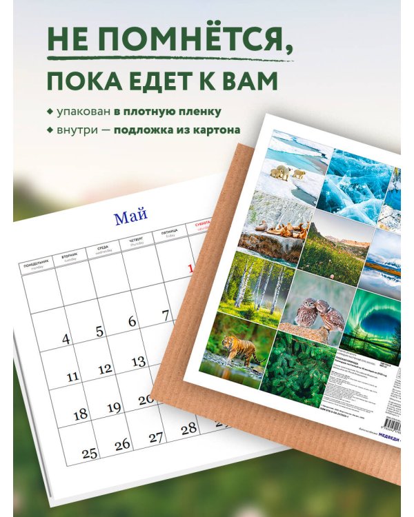 Русская природа. Календарь настенный на 16 месяцев на 2026 год (300х300 мм)