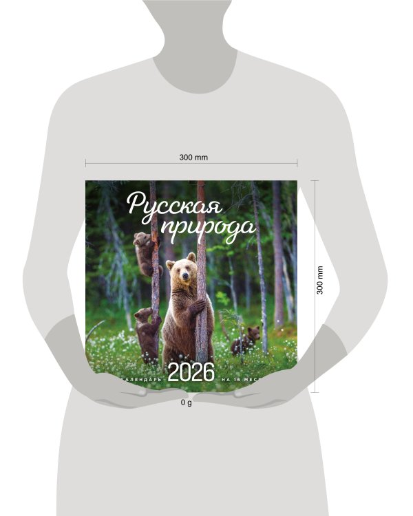 Русская природа. Календарь настенный на 16 месяцев на 2026 год (300х300 мм)