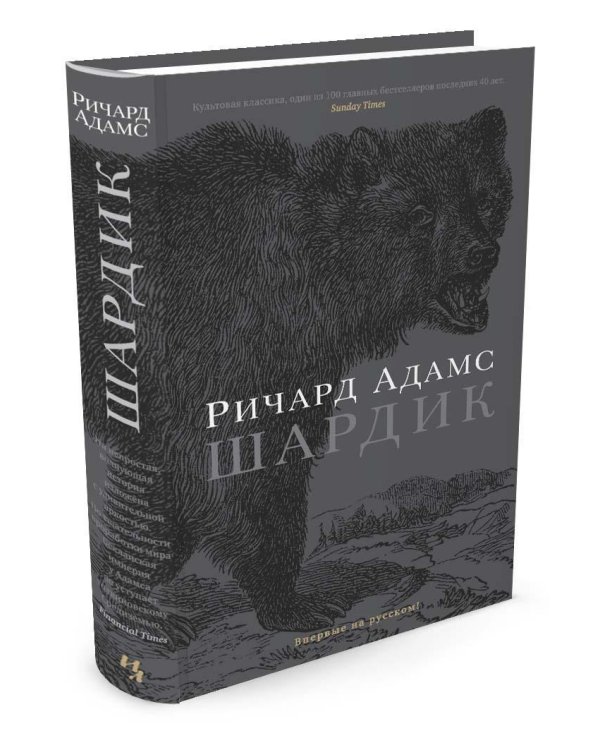 Дополнительное изображение книги «Шардик»