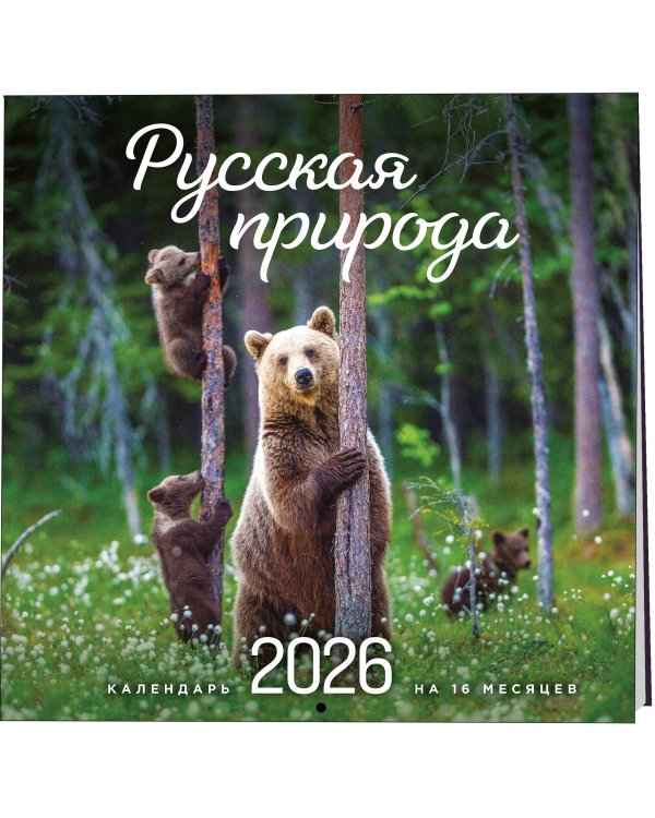 Русская природа. Календарь настенный на 16 месяцев на 2026 год (300х300 мм)