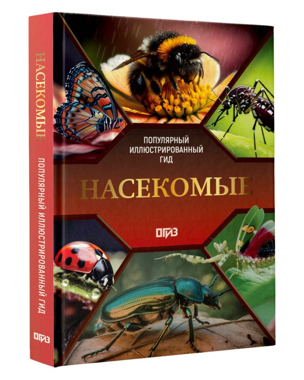 Насекомые. Иллюстрированный гид