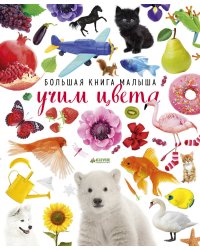 Большая книга малыша. Учим цвета
