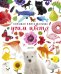 Обложка книги «Большая книга малыша. Учим цвета», ISBN 9785001152743