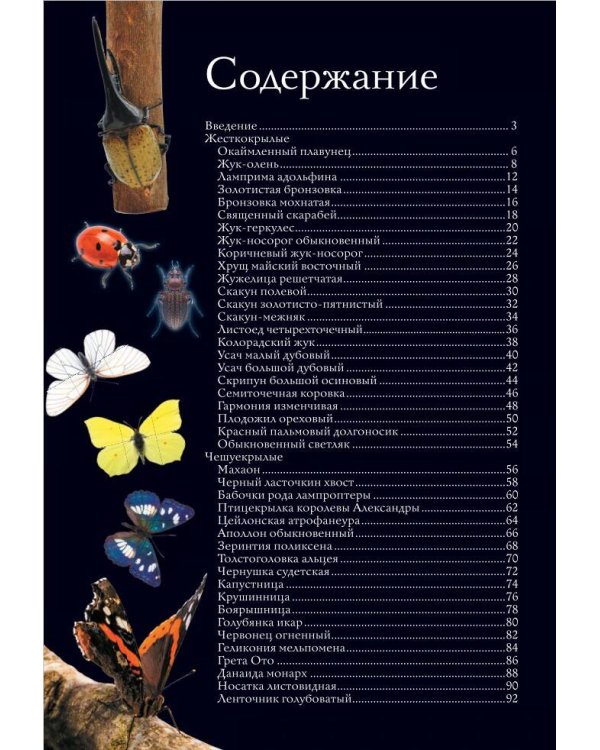 Насекомые. Иллюстрированный гид
