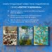 Рубенс, Рембрандт, Вермеер: и творчество других великих мастеров Золотого века Голландии в 500 картинах Рубенс, Рембрандт, Вермеер: и творчество других великих мастеров Золотого века Голландии в 500 картинах