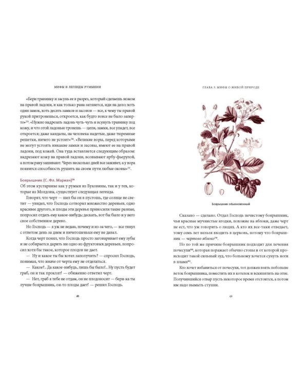 Мифы и легенды Румынии
