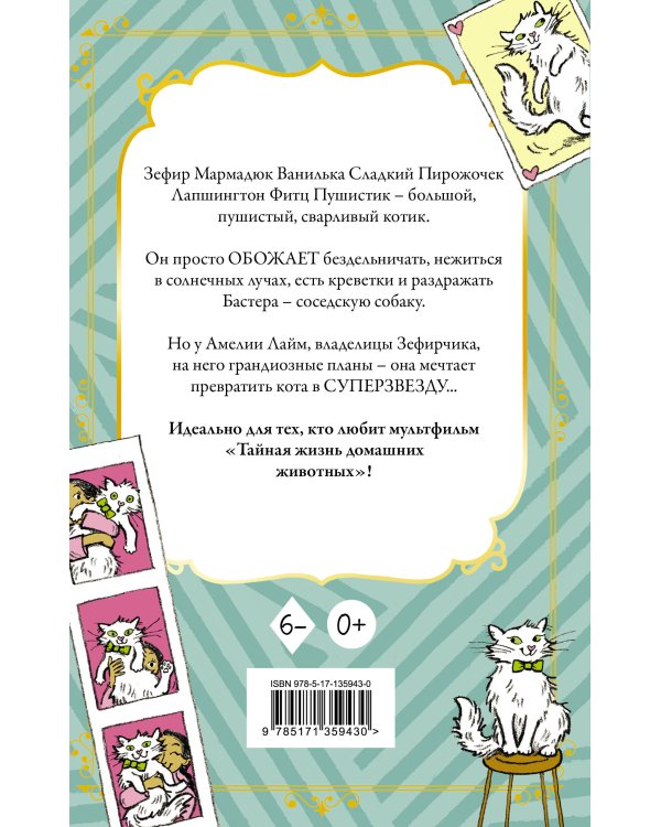 Кот Зефирчик - суперзвезда