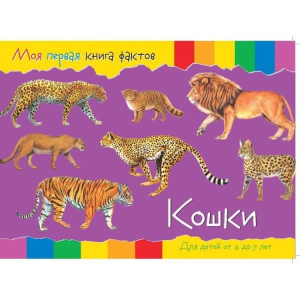 Обложка книги «МояПерваяКнигаФактов Кошки (+наклейки) (для детей от 2-7 лет)», ISBN 9785906843579