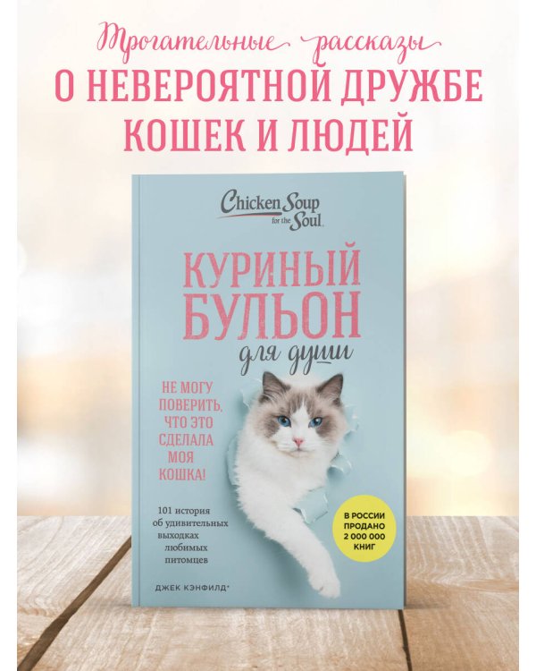 Дополнительное изображение книги «Куриный бульон для души. Не могу поверить, что это сделала моя кошка! 101 история об удивительных выходках любимых питомцев»