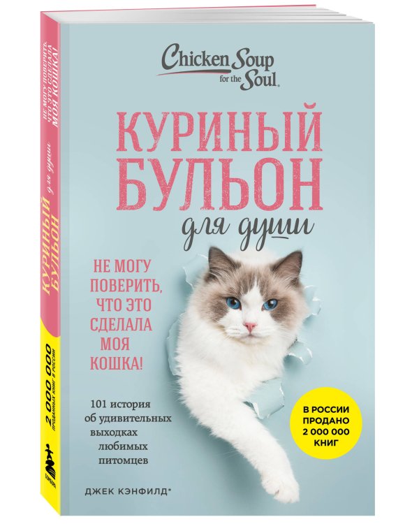 Куриный бульон для души. Не могу поверить, что это сделала моя кошка! 101 история об удивительных выходках любимых питомцев