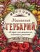 Обложка книги «Магический гербарий. 36 карт с посланиями от волшебных растений (Оракул. 36 карт и руководство в коробке)» — Толл Майя, ISBN 9785041993092