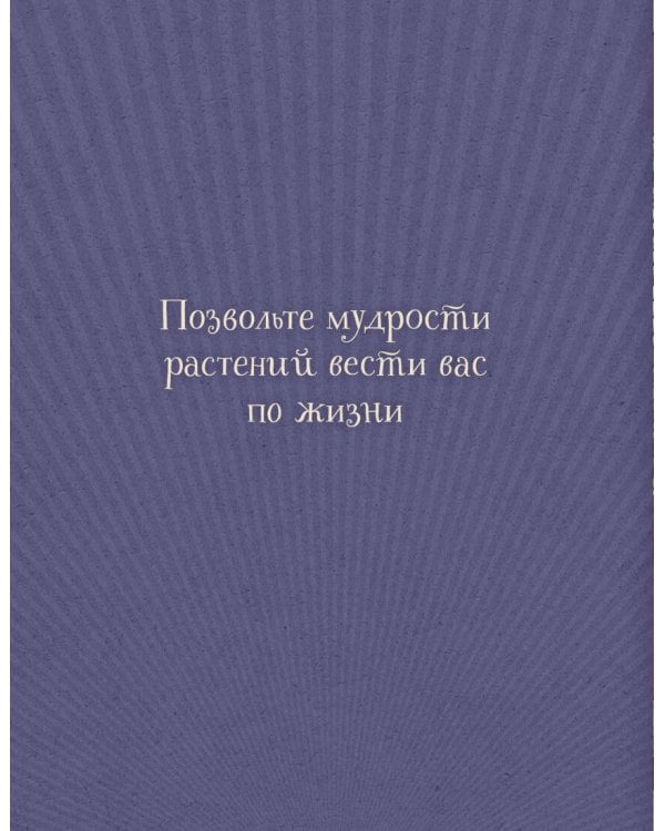 Дополнительное изображение книги «Магический гербарий. 36 карт с посланиями от волшебных растений (Оракул. 36 карт и руководство в коробке)»
