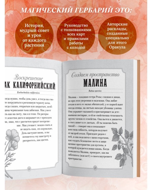 Дополнительное изображение книги «Магический гербарий. 36 карт с посланиями от волшебных растений (Оракул. 36 карт и руководство в коробке)»