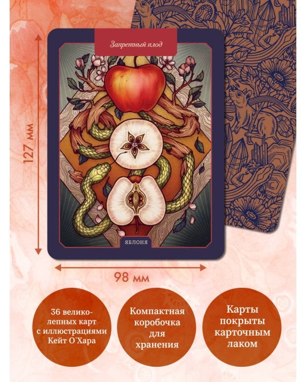Дополнительное изображение книги «Магический гербарий. 36 карт с посланиями от волшебных растений (Оракул. 36 карт и руководство в коробке)»