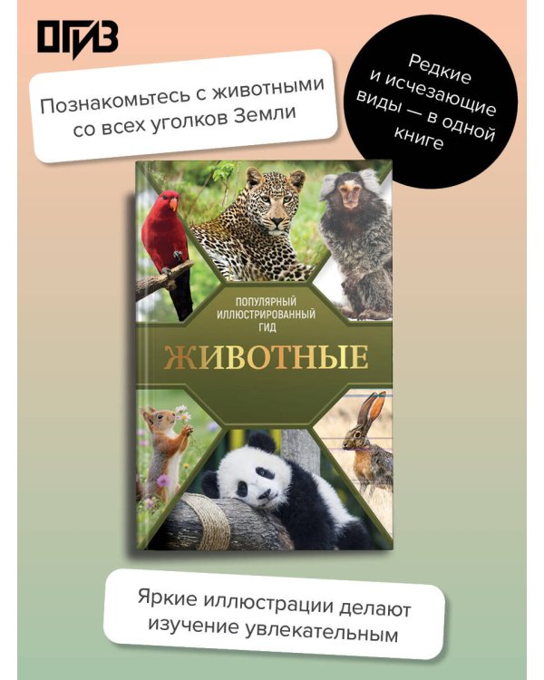 Дополнительное изображение книги «Животные. Популярный иллюстрированный гид»