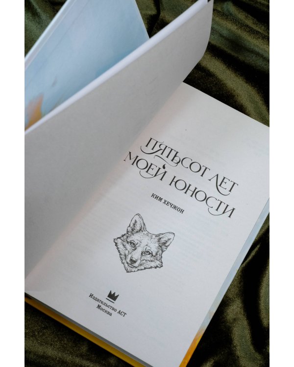 Пятьсот лет моей юности