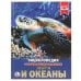 Обложка книги «"УМКА". МОРЯ И ОКЕАНЫ (ЭНЦИКЛОПЕДИЯ А4). ТВЕРДЫЙ ПЕРЕПЛЕТ. БУМАГА МЕЛОВАННАЯ 130Г.в кор.15шт», ISBN 9785506021063
