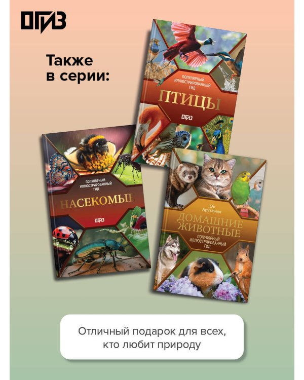 Дополнительное изображение книги «Животные. Популярный иллюстрированный гид»