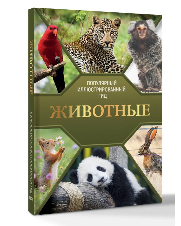 Дополнительное изображение книги «Животные. Популярный иллюстрированный гид»