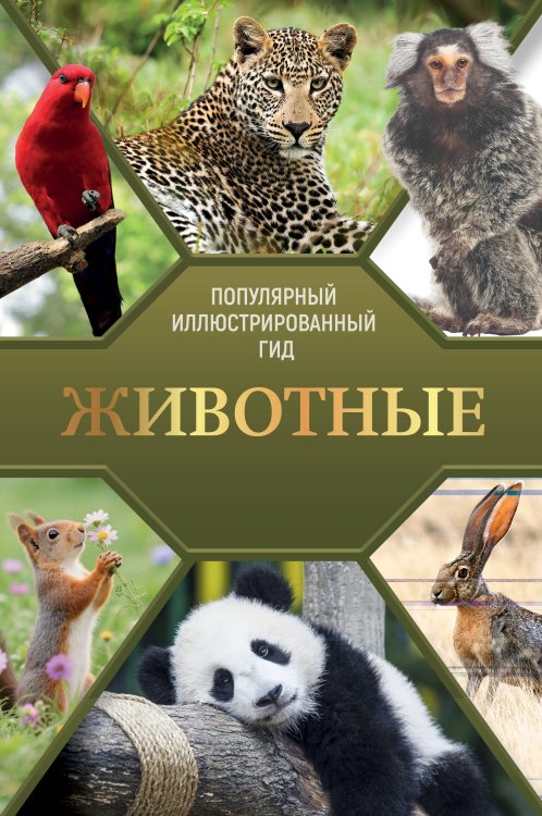 Обложка книги «Животные. Популярный иллюстрированный гид» — Баженов Владимир Михайлович, ISBN 9785171858926