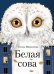 ДХЛ. Белая сова