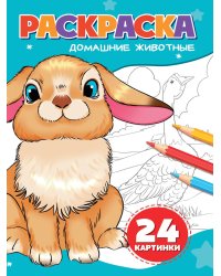 РАСКРАСКА А5. ДОМАШНИЕ ЖИВОТНЫЕ