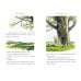 Дополнительное изображение книги «Winnie the Pooh  classic edition (A. Milne) Винни Пух классическое издание (А.Милн) /Книги на английском языке»