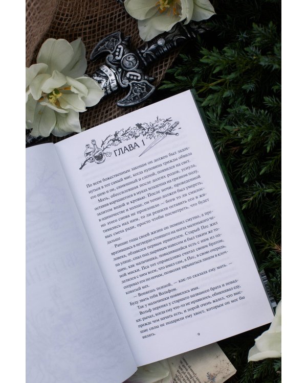 Дополнительное изображение книги «Храни Короля. Звереныш»