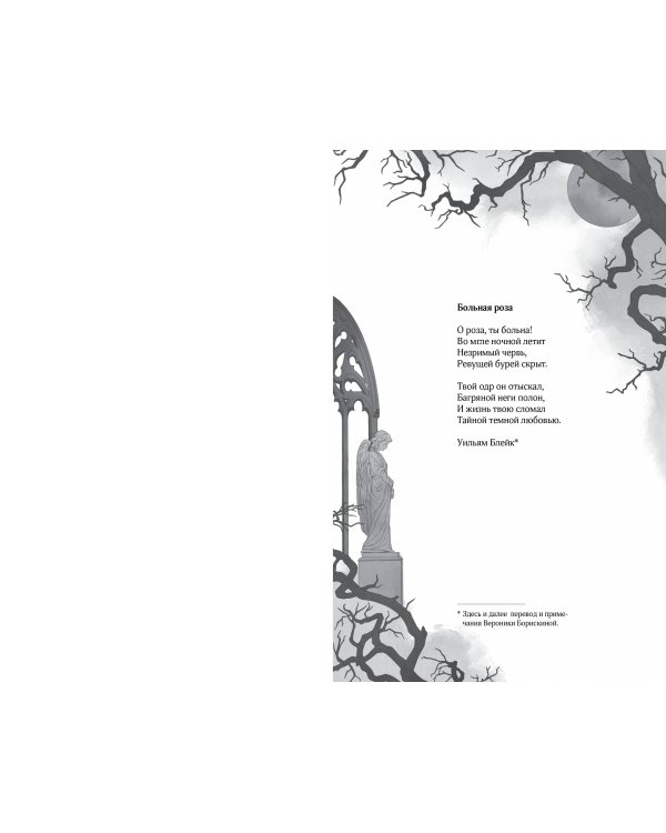 Дополнительное изображение книги «Изгнание фейри»