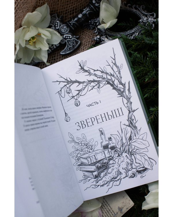 Дополнительное изображение книги «Храни Короля. Звереныш»