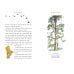 Дополнительное изображение книги «Winnie the Pooh  classic edition (A. Milne) Винни Пух классическое издание (А.Милн) /Книги на английском языке»