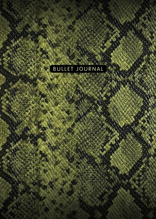 Блокнот в точку: Bullet Journal (змея, 120 c., пружина)