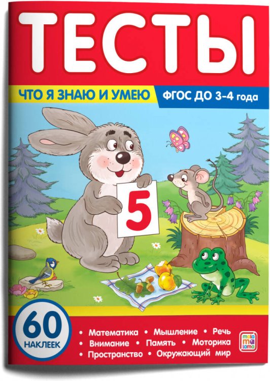 Тесты. Что я знаю и умею. 3-4 года