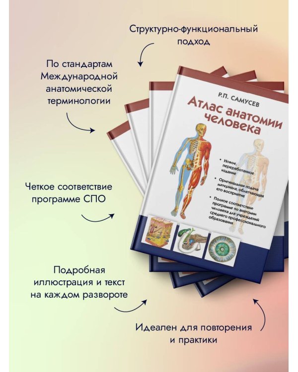 Атлас анатомии человека. Учебное пособие для студентов учреждений среднего профессионального образования