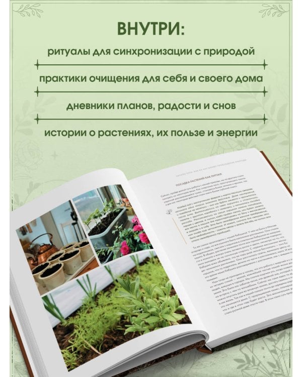 Шаманчай: год в гармонии с природой. Книга о растениях, их силах и применении
