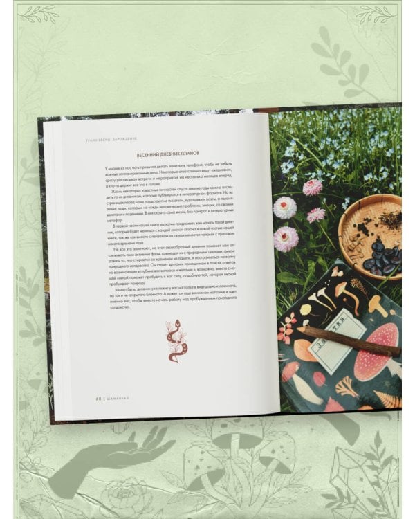 Шаманчай: год в гармонии с природой. Книга о растениях, их силах и применении