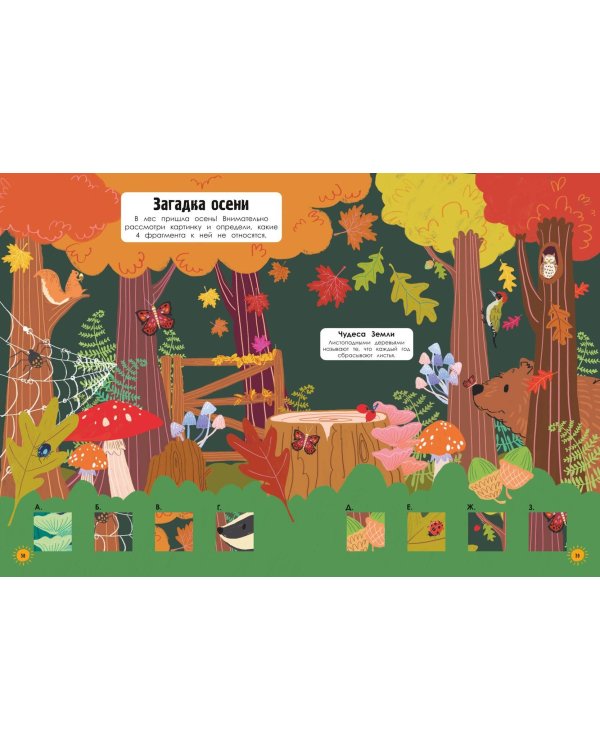 Наша планета в играх и головоломках