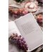 Набор из 3 книг: Вечные истории: Маленькие женщины. Хорошие жены. Маленькие мужчины