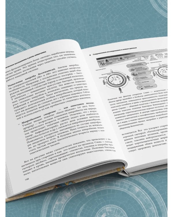 Дорожная карта долголетия. Практический курс для почти вечной жизни. Новые маршруты