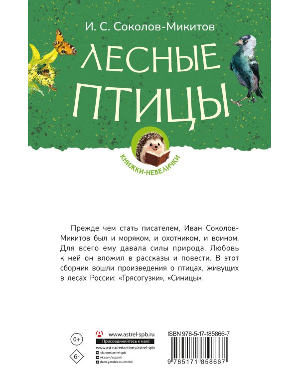 Лесные птицы