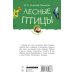 Лесные птицы