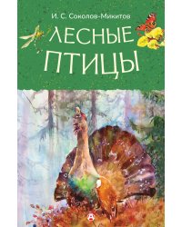 Лесные птицы