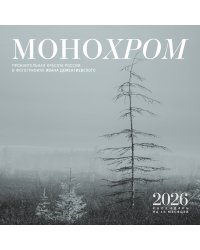 Монохром. Пронзительная красота России в фотографиях Ивана Дементиевского. Календарь настенный на 16 месяцев на 2026 год (300х300 мм)