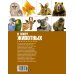 Дополнительное изображение книги «В мире животных»