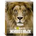 Дополнительное изображение книги «В мире животных»